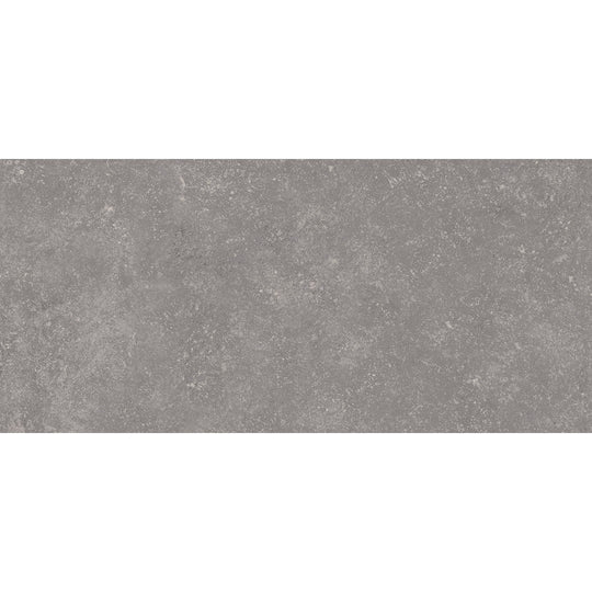 Emser Xtra 16" x 31" Matte Porcelain Paver Tile