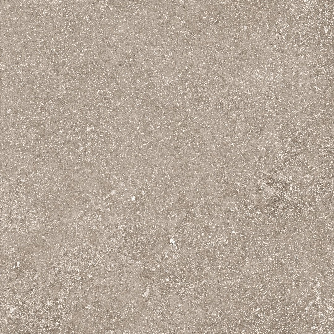 Crossville 24" x 24" Beljn Unpolished Porcelain Tile
