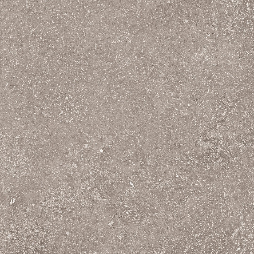 Crossville 24" x 24" Beljn Unpolished Porcelain Tile