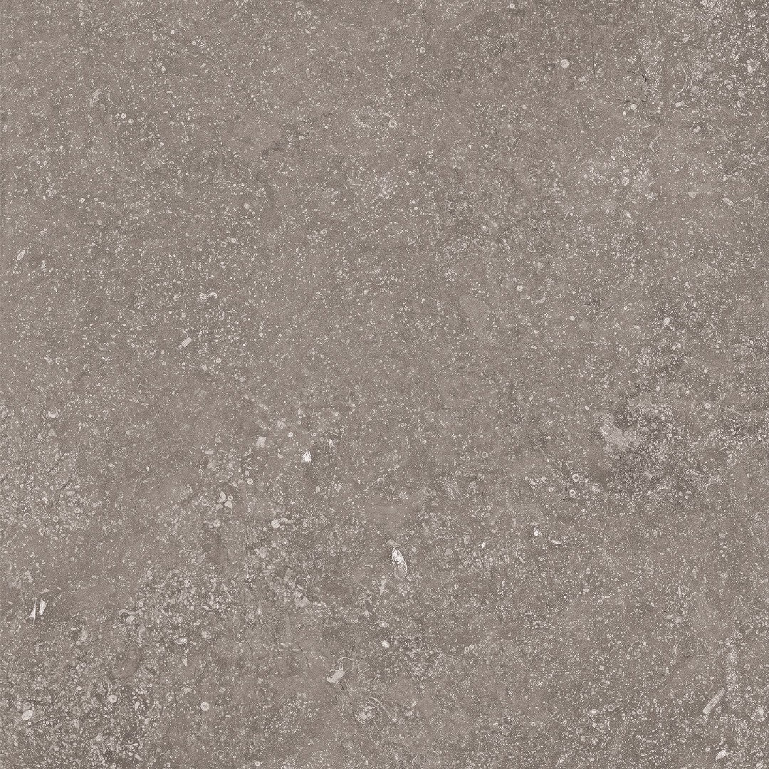 Crossville 24" x 24" Beljn Unpolished Porcelain Tile