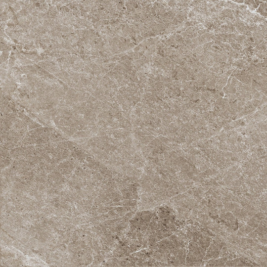 Tesoro 36" x 36" Advance Rectified Matte Porcelain Tile