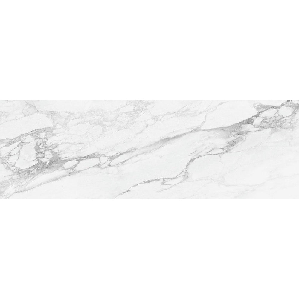 Ottimo Bernini 12" x 24" Matte Porcelain Tile