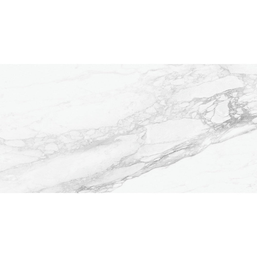 Ottimo Bernini 24" x 48" Polished Porcelain Tile