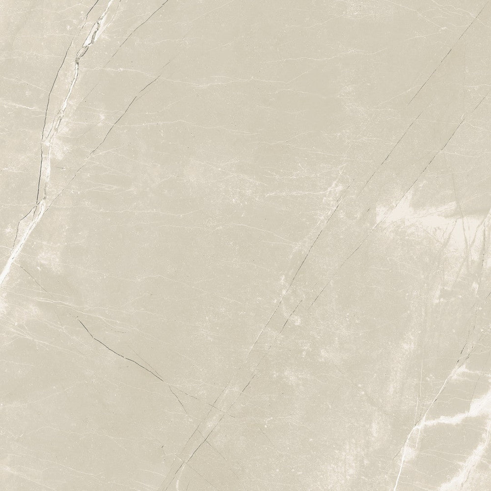 Tesoro 24" x 24" Classic Marble Rectified Polished Pocelain Tile