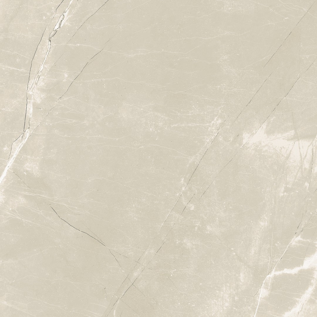 Tesoro 24" x 24" Classic Marble Rectified Polished Pocelain Tile