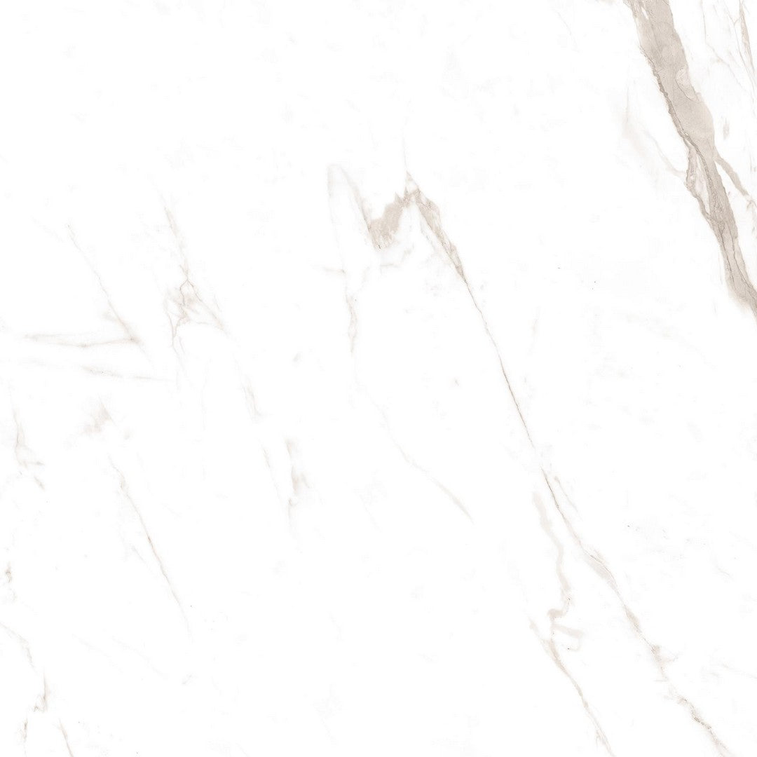 Tesoro 24" x 24" Classic Marble Rectified Polished Pocelain Tile