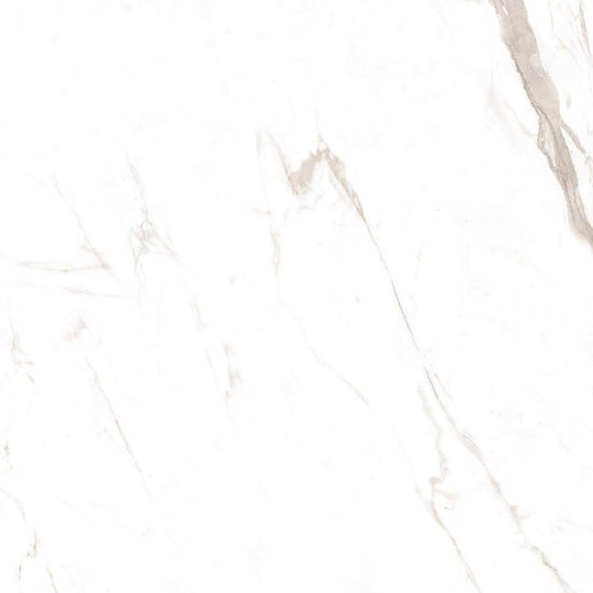 Tesoro 24" x 24" Classic Marble Rectified Polished Pocelain Tile
