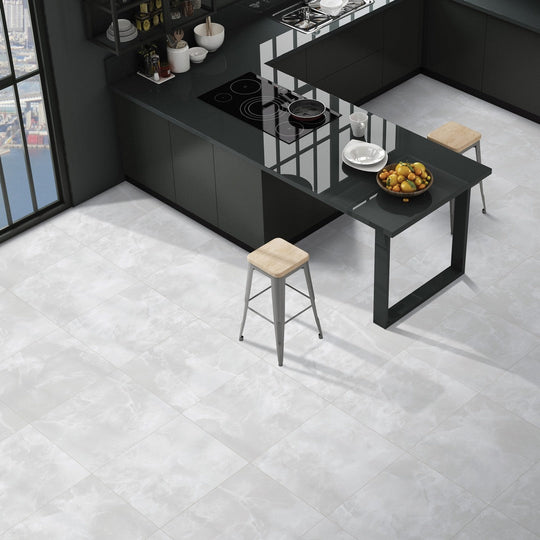 Tesoro-24-x-24-Lizart-Rectified-Matte-Porcelain-Tile-Ice