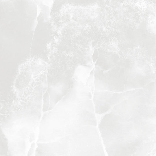 Tesoro 24" x 24" Lizart Rectified Polished Porcelain Tile