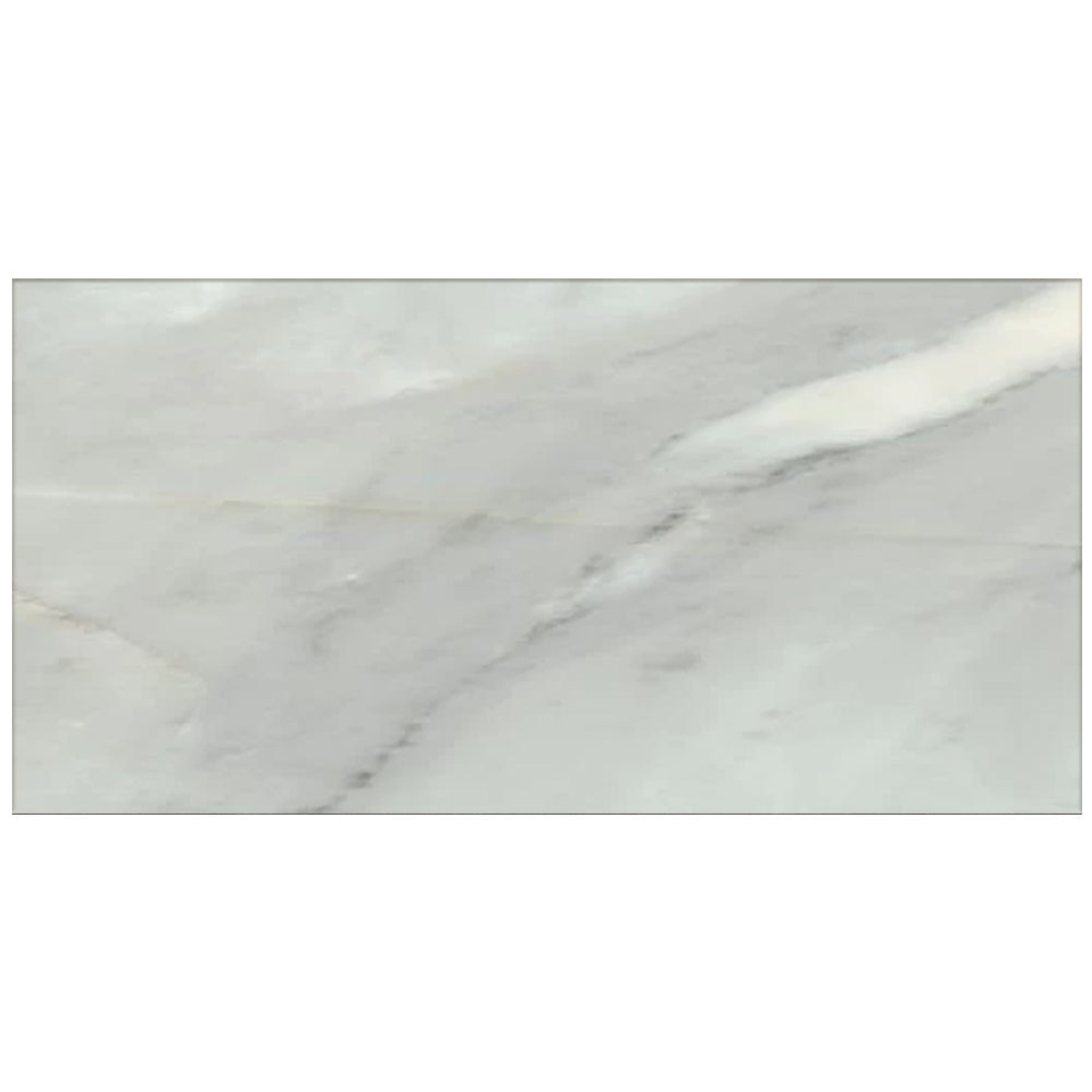 Happy Floors 16" x 32" Bardiglio Rectified Natural Porcelain Tile