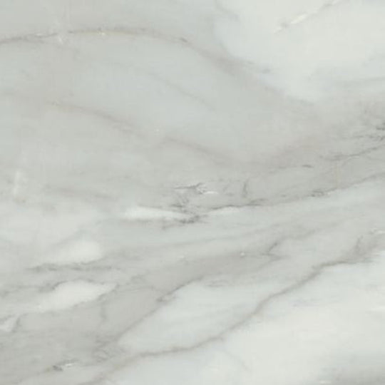 Happy Floors 24" x 24" Bardiglio Rectified Polished Porcelain Tile