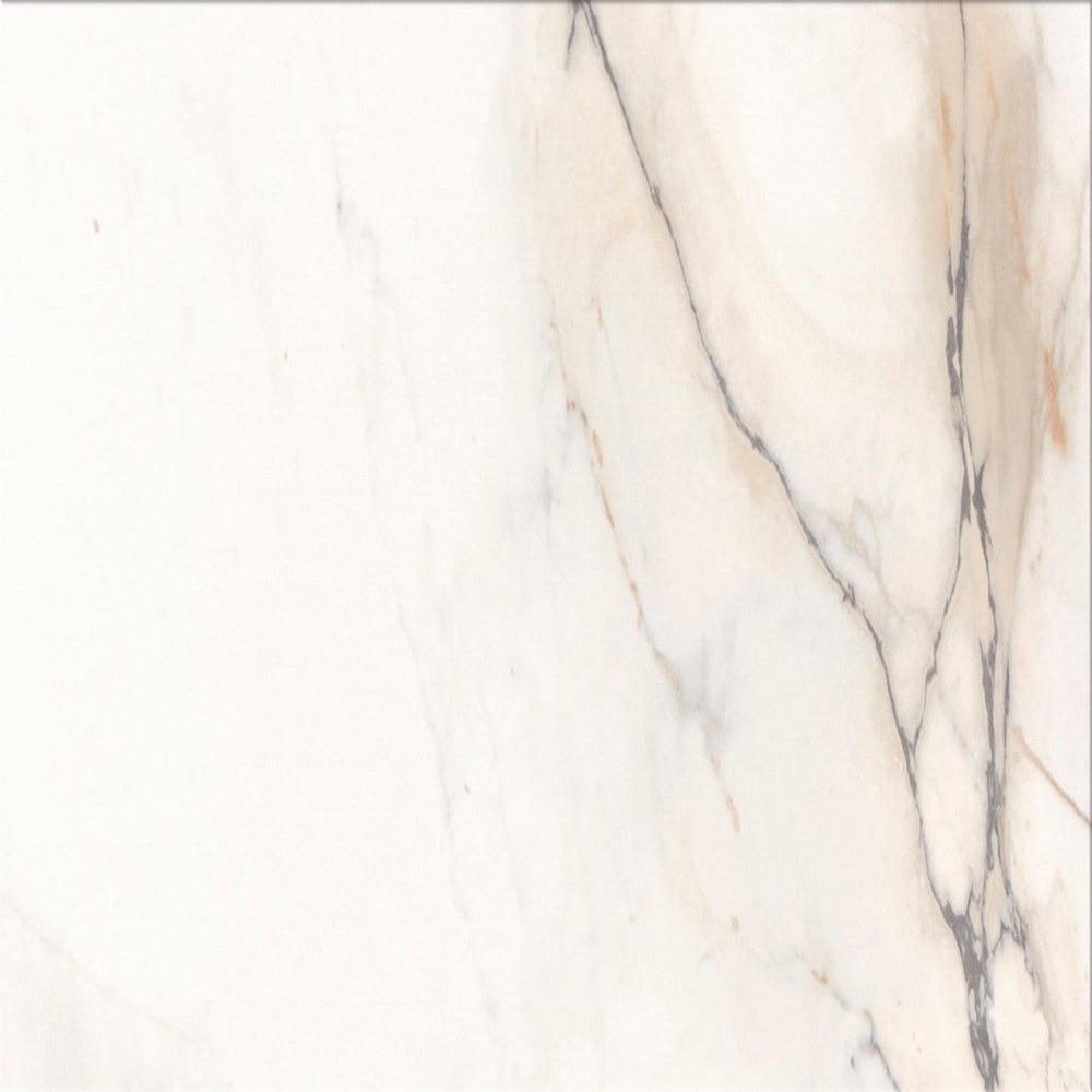 Floors 2000 Bianco Paonazzetto 12" x 24" Pressed Matte Porcelain Tile