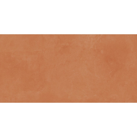 Emser 12" x 24" Agio Rectified Matte Porcelain Slim Tile