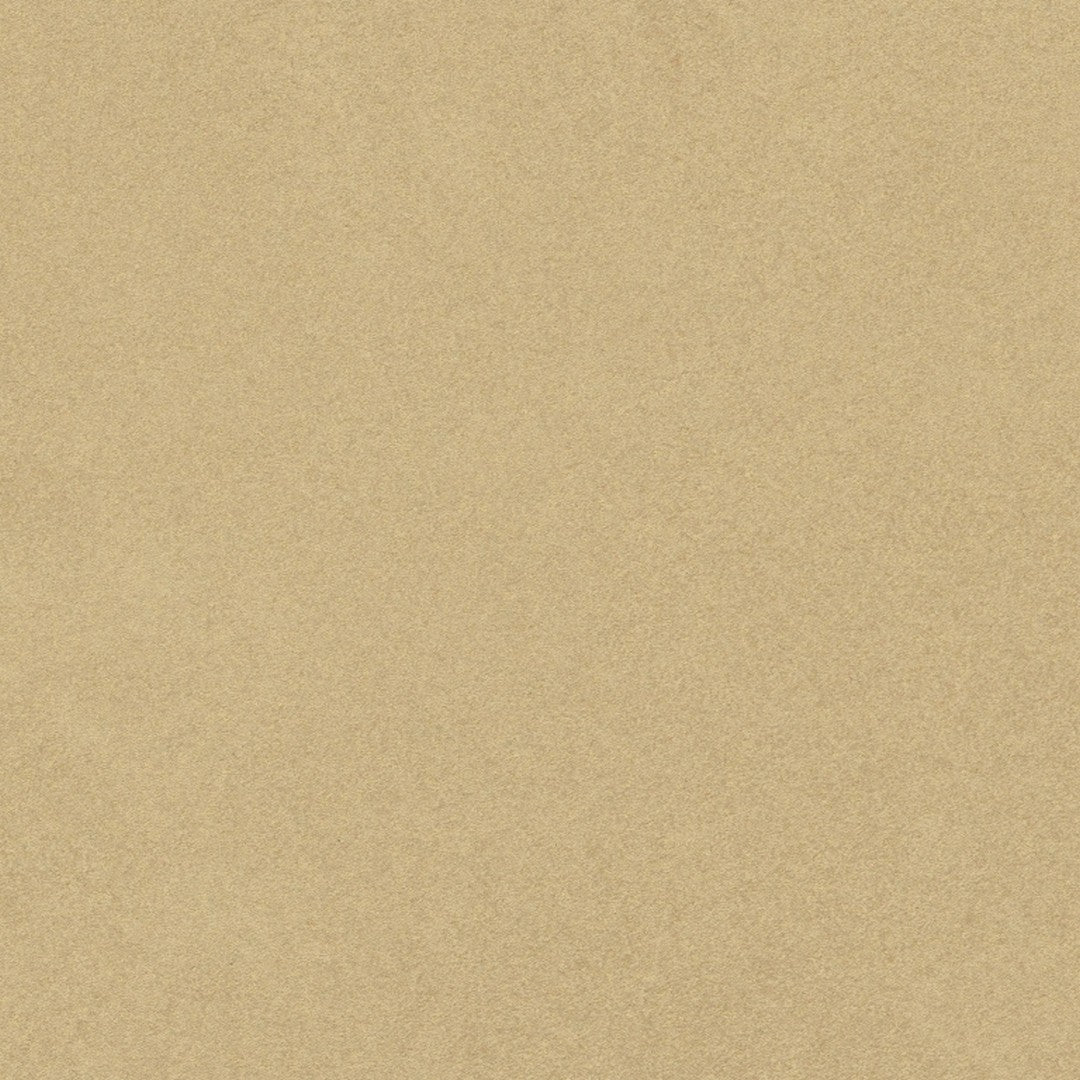 Emser Tile 24" x 24" Agio Rectified Matte Porcelain Slim Tile