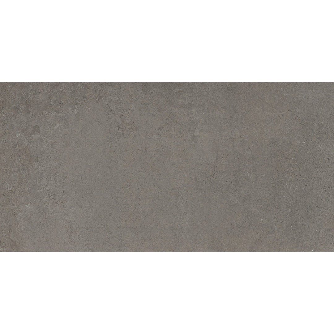 Emser Perenne 24" x 47" Matte Porcelain Tile