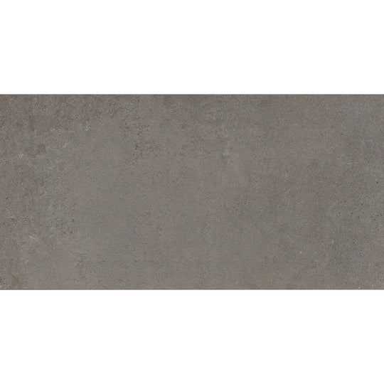 Emser Perenne 24" x 47" Matte Porcelain Tile