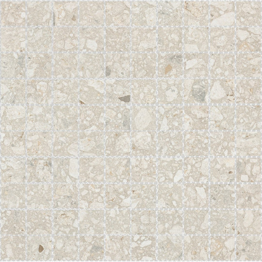 Emser 12" x 12" Perenne Matte Porcelain 1" Mosaic