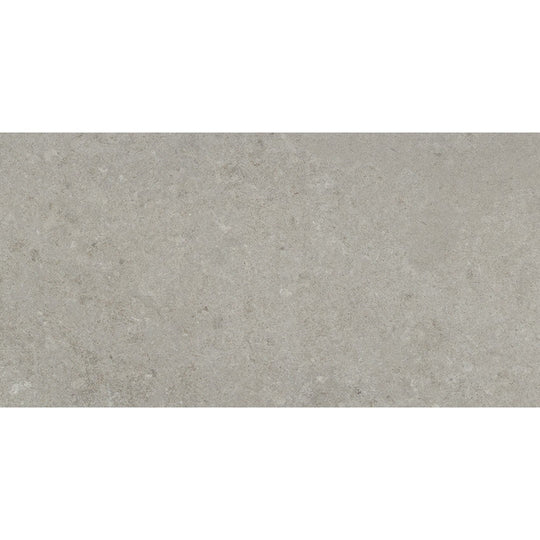 Emser Perenne 24" x 47" Matte Porcelain Tile