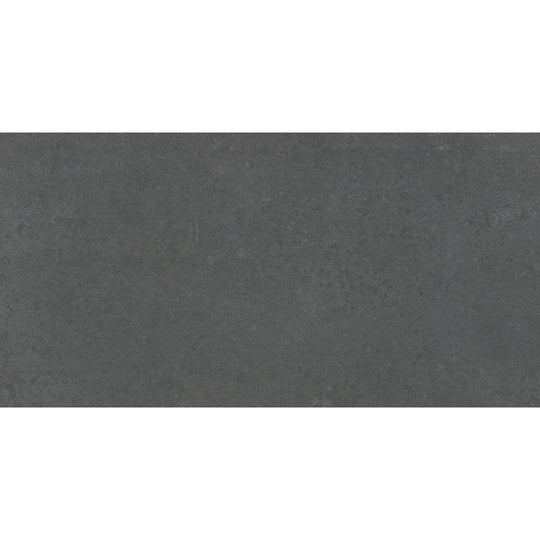 Emser Perenne 24" x 47" Matte Porcelain Tile