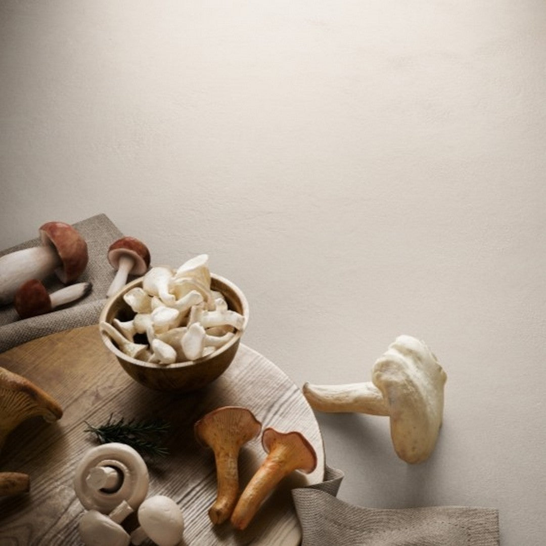 Emser-Claytone-47-x-47-Rectified-Matte-Porcelain-Tile-Ivory