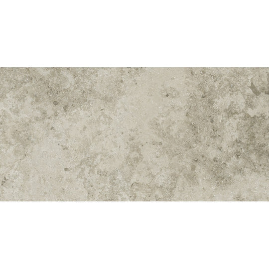 Emser 12" x 24" Silque Rectified Honed Porcelain Tile