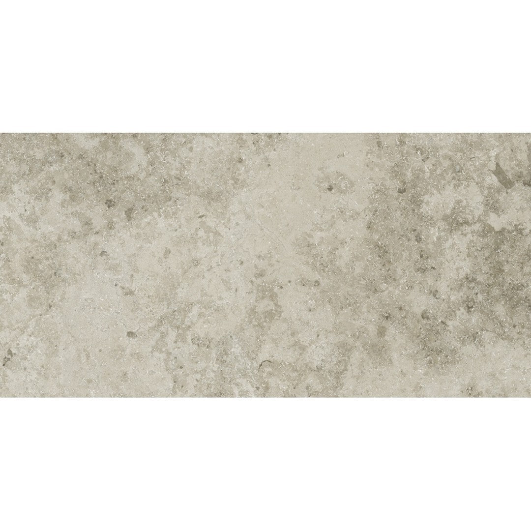 Emser 12" x 24" Silque Rectified Matte Porcelain Tile