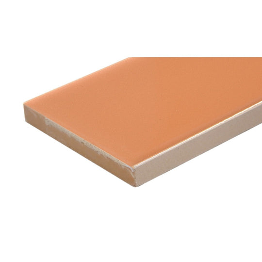 Emser-2-x-6-Triveni-Pressed-Matte-Ceramic-Wall-Tile-Canyon