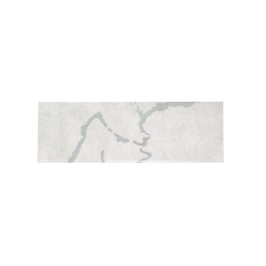 Emser-2-x-6-Triveni-Pressed-Satin-Deco-Ceramic-Wall-Tile-Dust