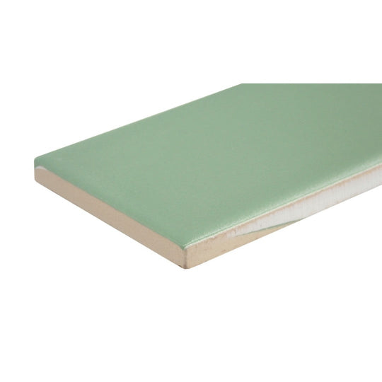 Emser-2-x-6-Triveni-Pressed-Matte-Ceramic-Wall-Tile-Forest
