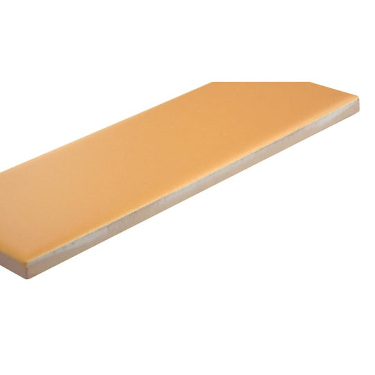 Emser-2-x-6-Triveni-Pressed-Matte-Ceramic-Wall-Tile-Karst