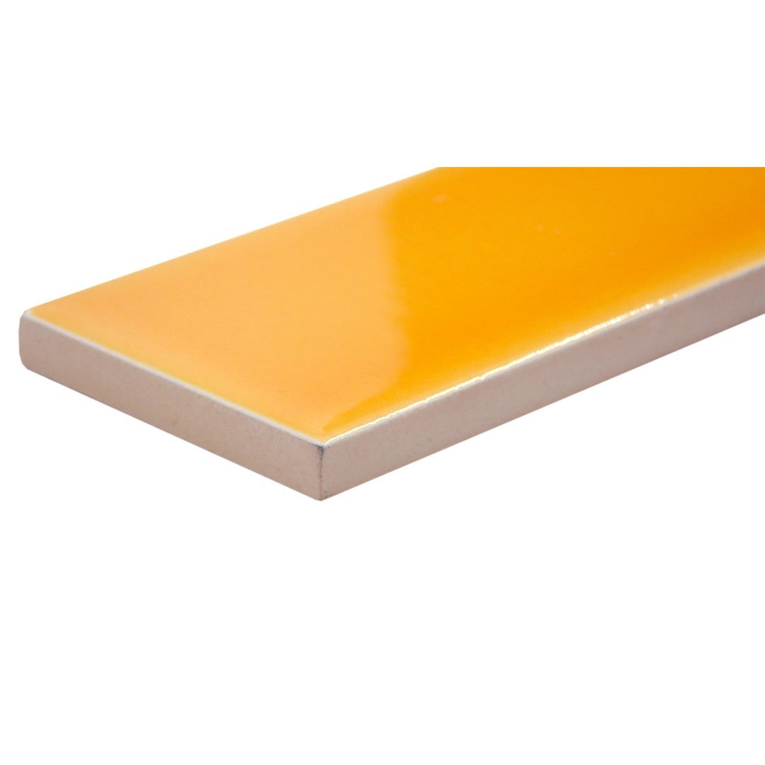 Emser-2-x-6-Triveni-Pressed-Glossy-Ceramic-Wall-Tile-Karst
