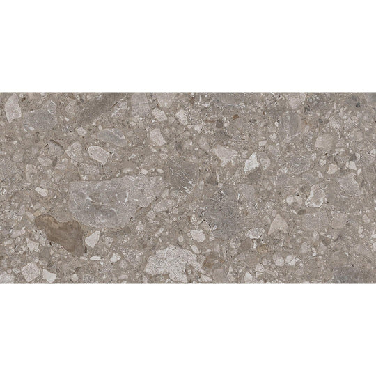 Emser Fixt Stone 12" x 24" Porcelain Matte Tile