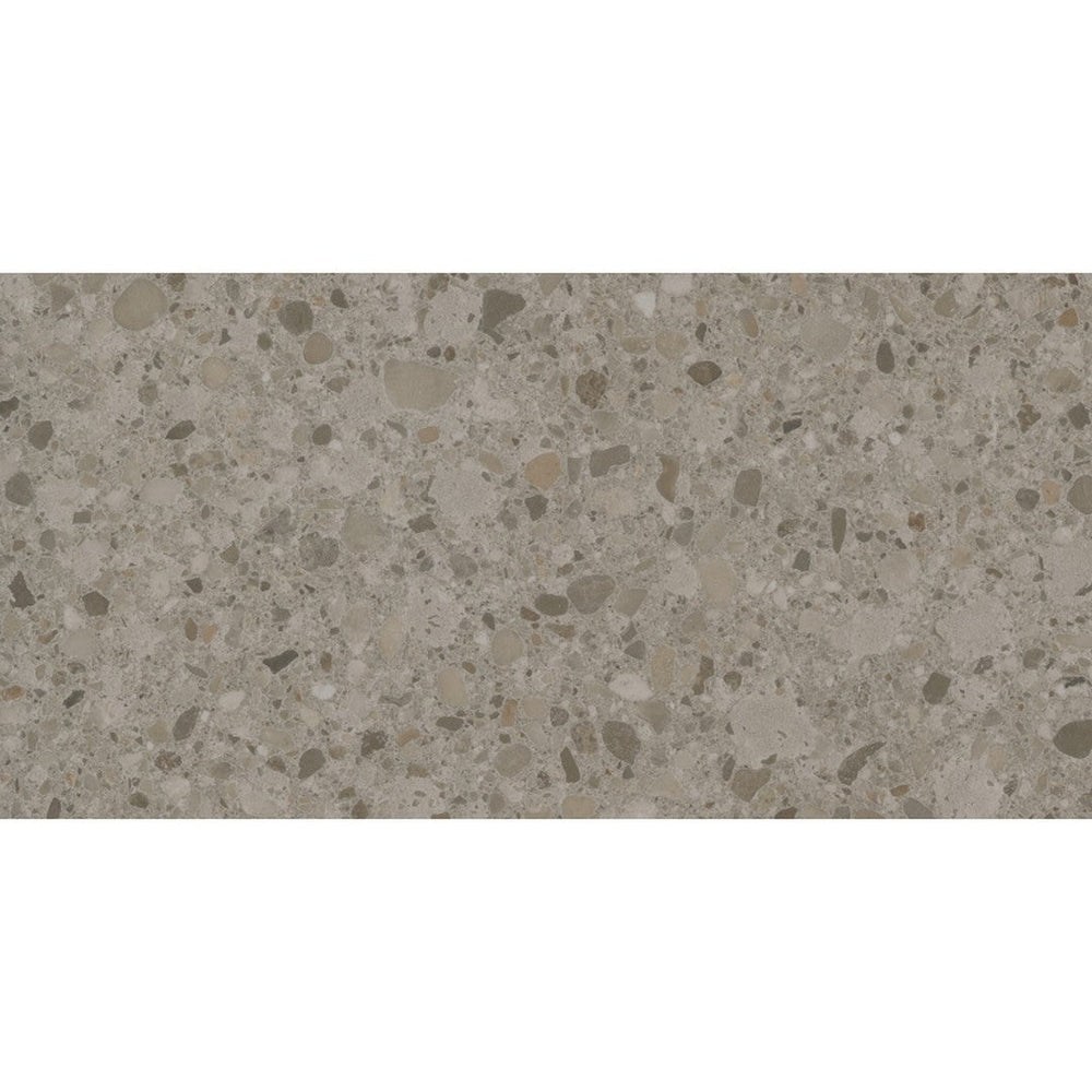 Emser 12" x 24" Mixt Rectified Matte Porcelain Flake Tile