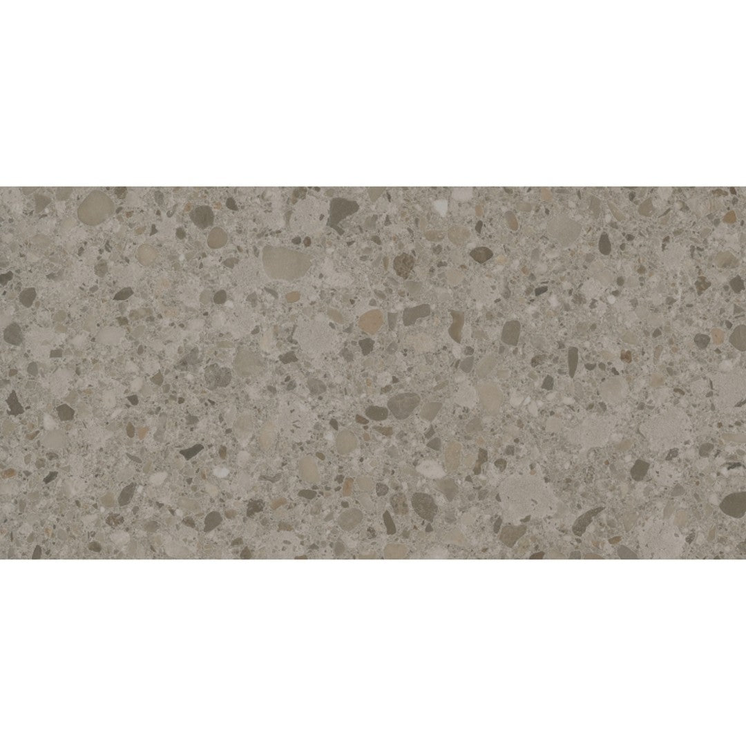 Emser 12" x 24" Mixt Rectified Matte Porcelain Flake Tile