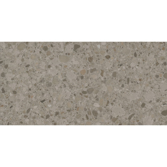 Emser 12" x 24" Mixt Rectified Matte Porcelain Flake Tile