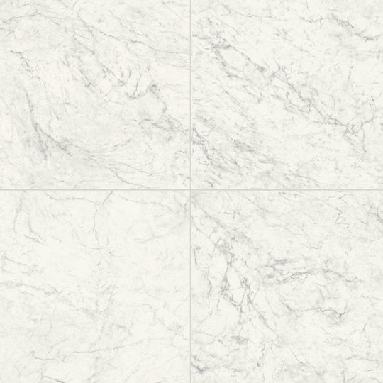 Ottimo Carrara 24" x 24" Matte Porcelain Paver