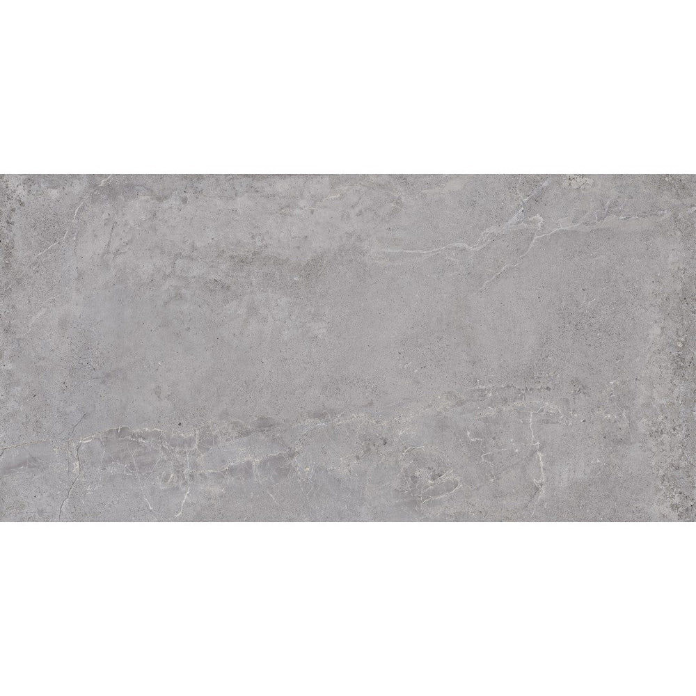 Tesoro 24" x 48" Evolution Rectified Matte Porcelain Tile