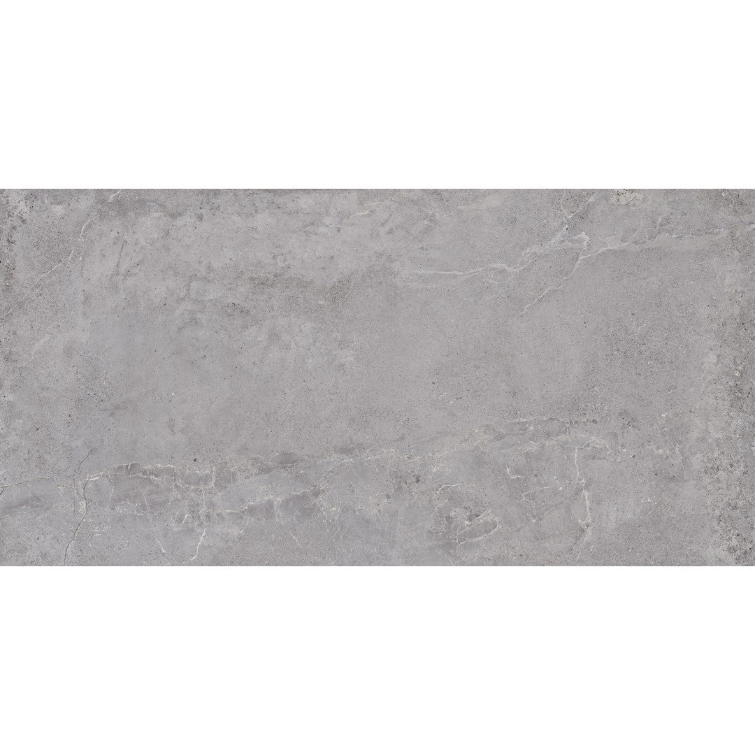 Tesoro 24" x 48" Evolution Rectified Matte Porcelain Tile
