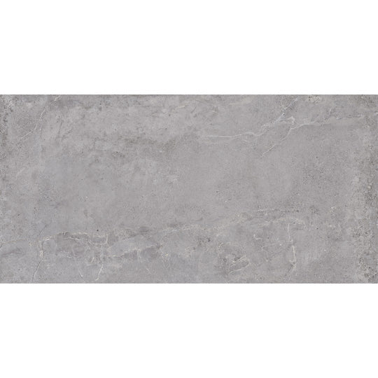 Tesoro 24" x 48" Evolution Rectified Matte Porcelain Tile