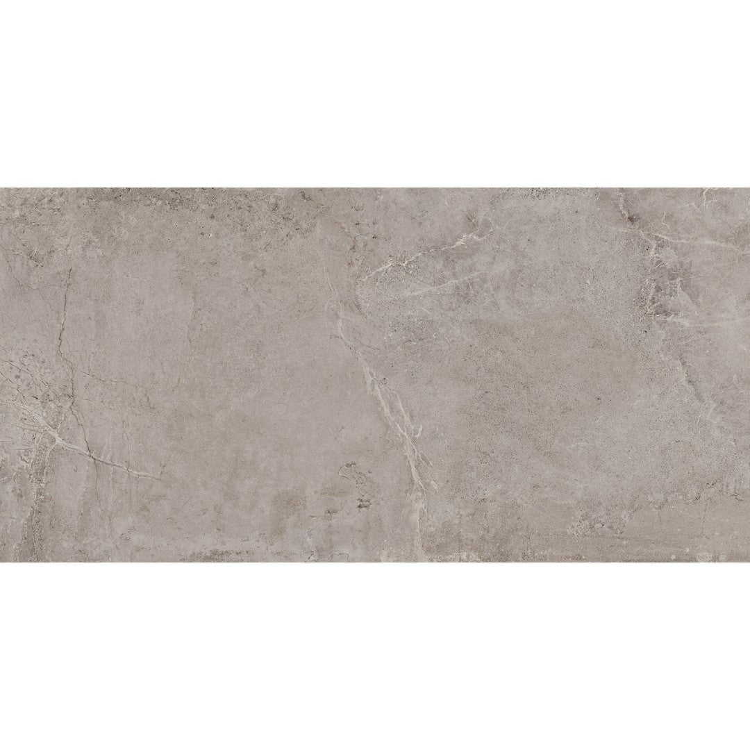Tesoro 24" x 48" Evolution Rectified Matte Porcelain Tile