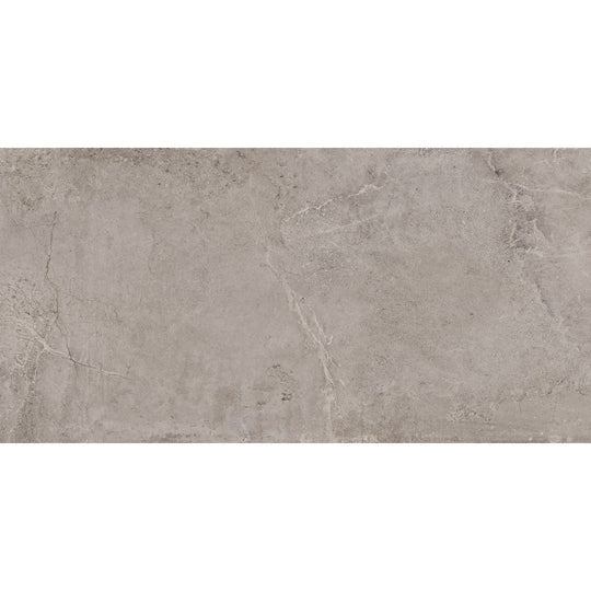 Tesoro 24" x 48" Evolution Rectified Matte Porcelain Tile