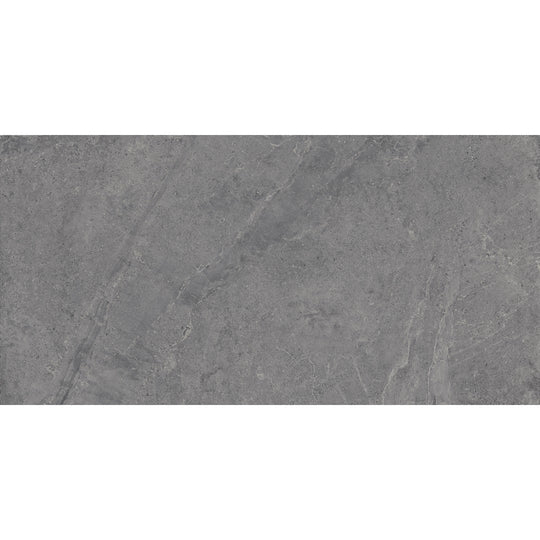 Tesoro 24" x 48" Evolution Rectified Matte Porcelain Tile
