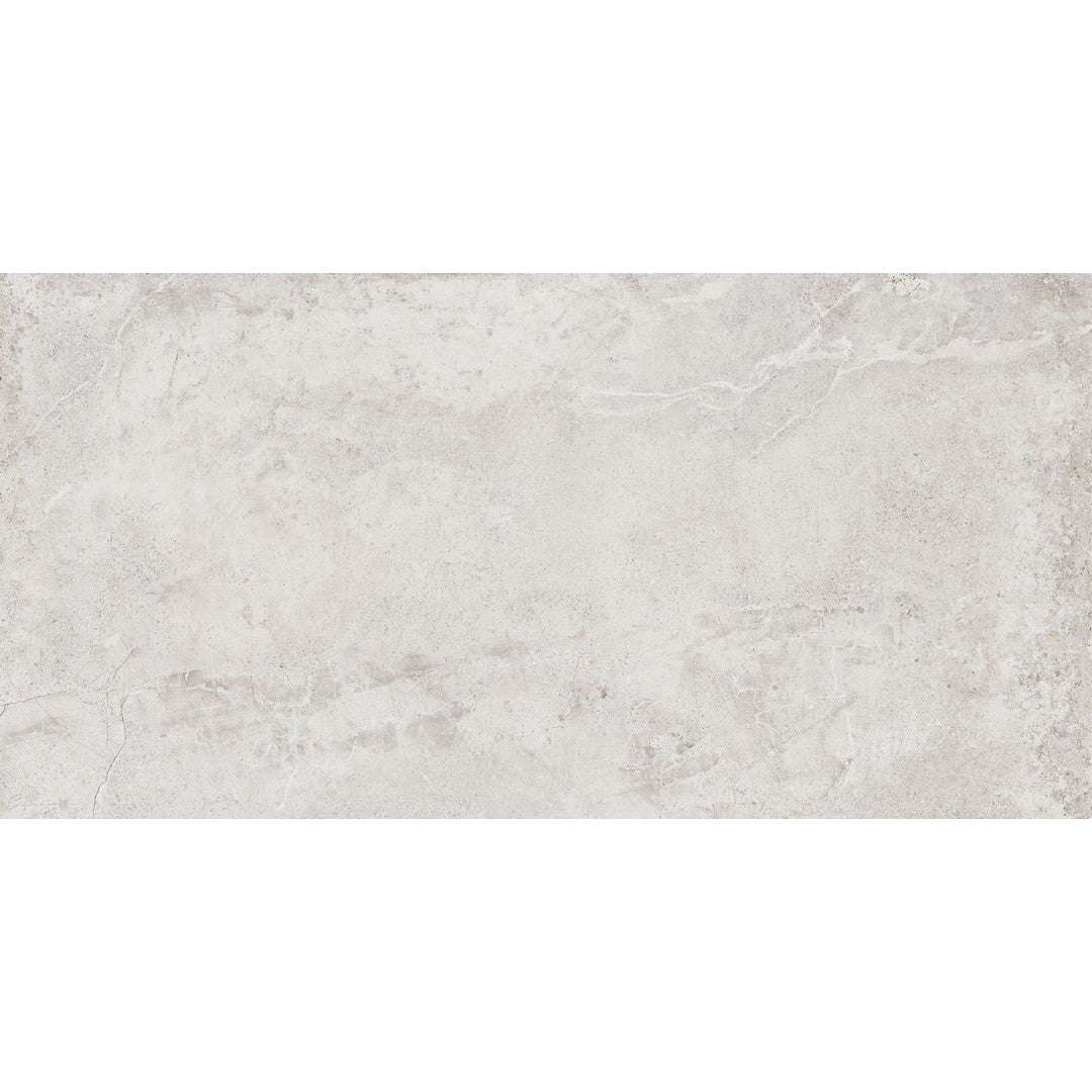Tesoro 24" x 48" Evolution Rectified Matte Porcelain Tile