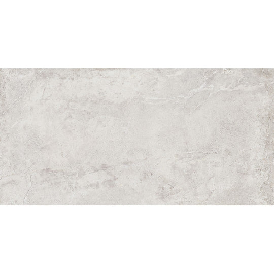 Tesoro 24" x 48" Evolution Rectified Matte Porcelain Tile