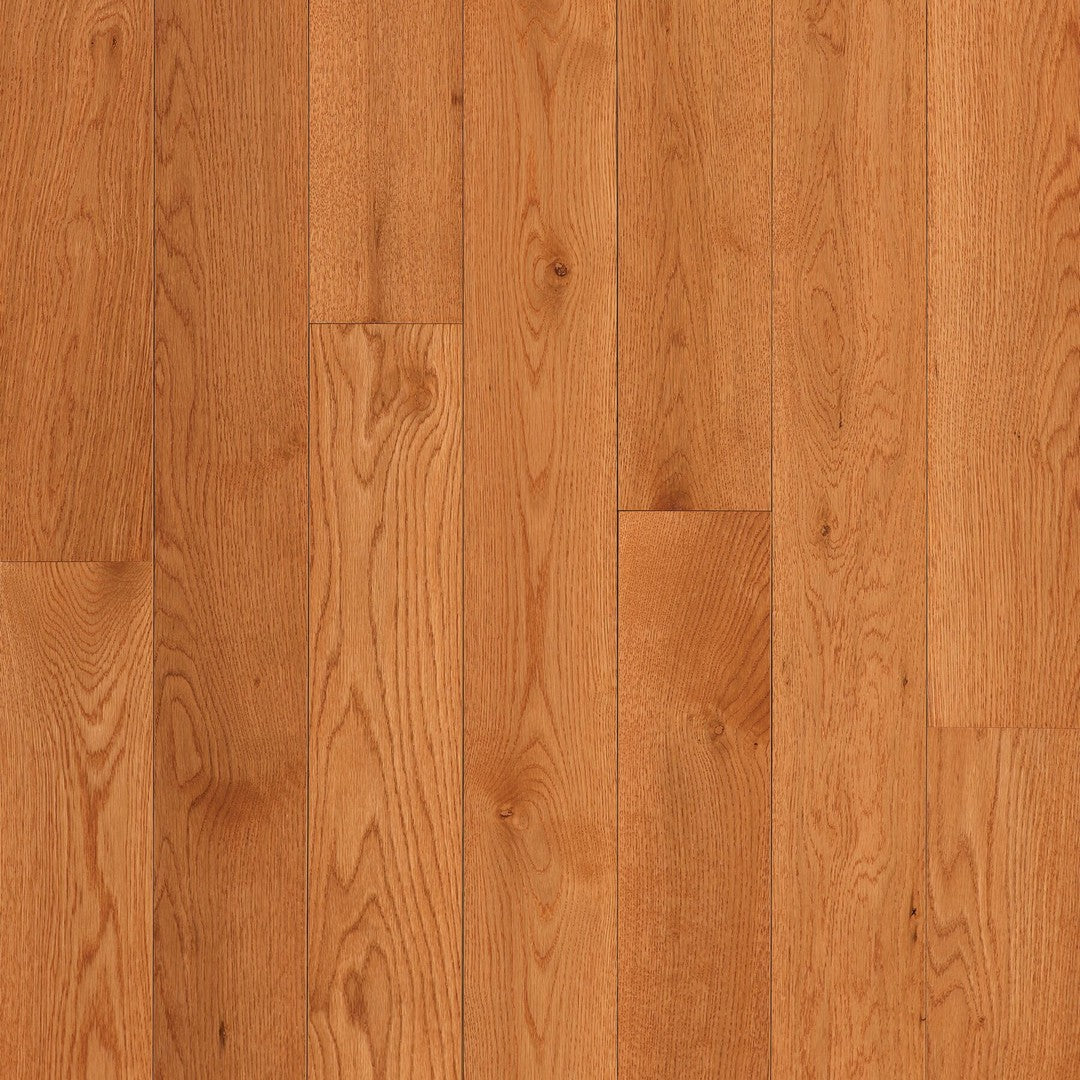 Bruce 3.25" Dundee Low Gloss Solid Hardwood Plank