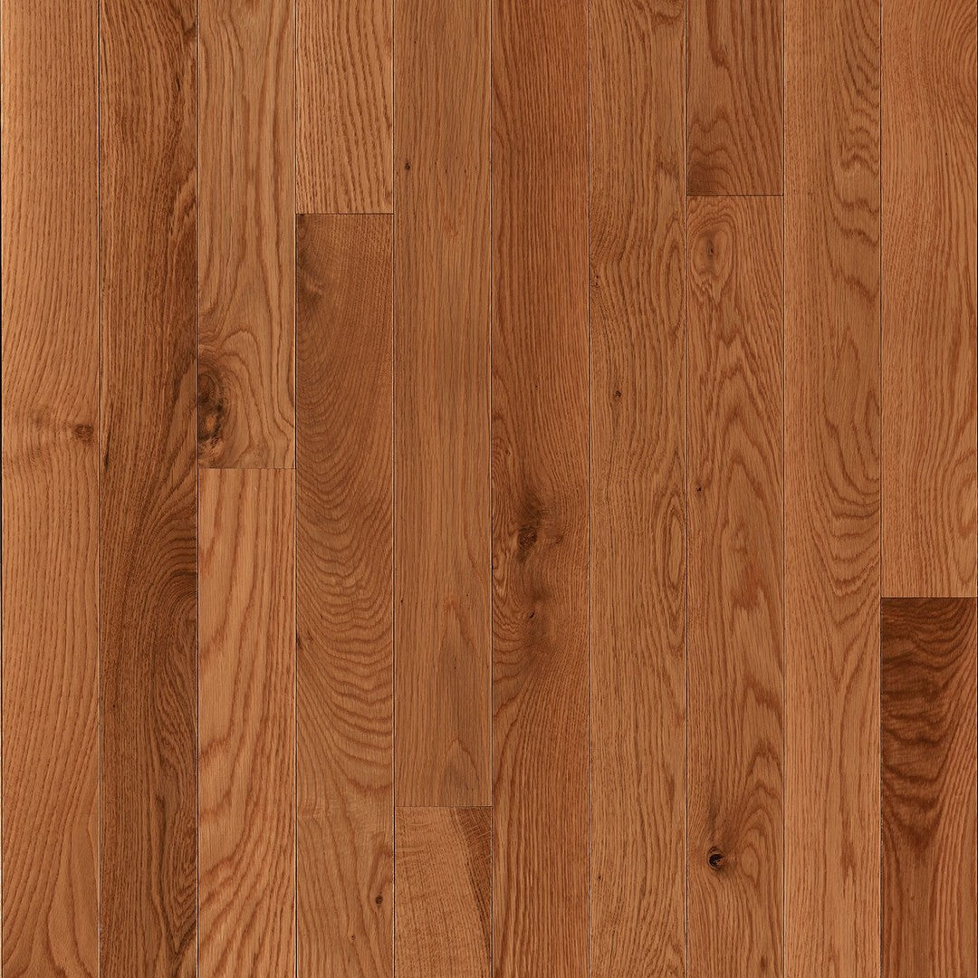 Crossville 2.25" Grandin Grove Medium Gloss Solid Hardwood Strip