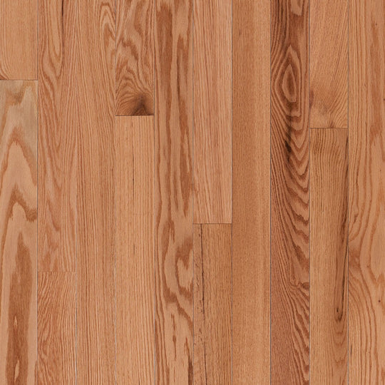 Crossville 2.25" Grandin Grove Medium Gloss Solid Hardwood Strip