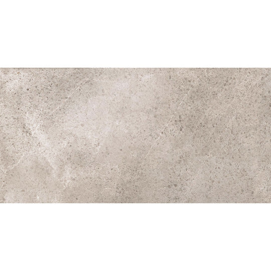 Ottimo Creative 24" x 48" Matte Porcelain Tile