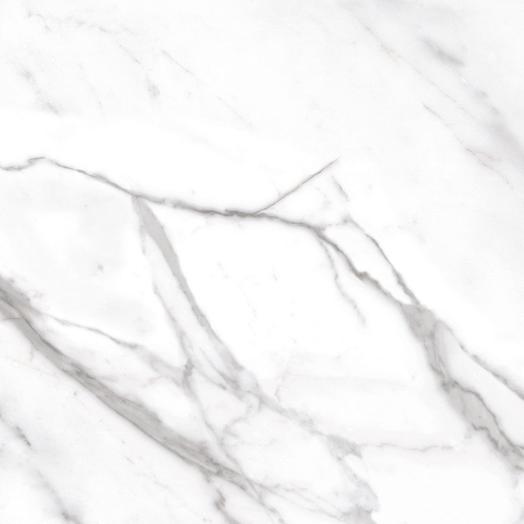 Daltile-Costar-12-x-12-Matte-Porcelain-Floor-Tile-Calacatta-Empire
