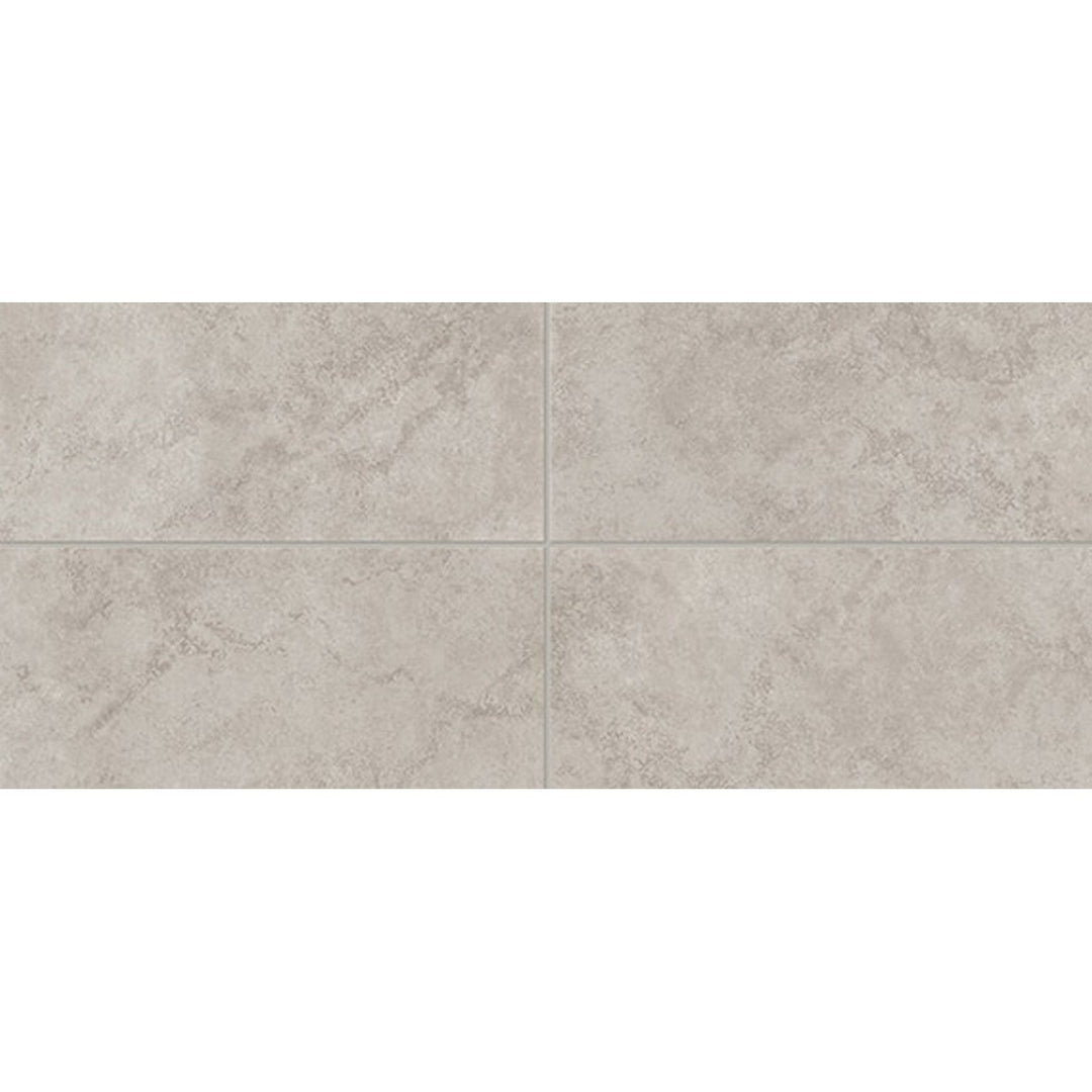 Daltile Choice 12" x 24" Matte